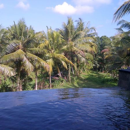 Hotel Dewa House Bisma Ubud Exteriér fotografie