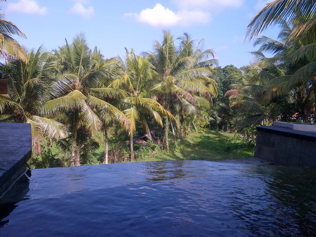 Hotel Dewa House Bisma Ubud Exteriér fotografie