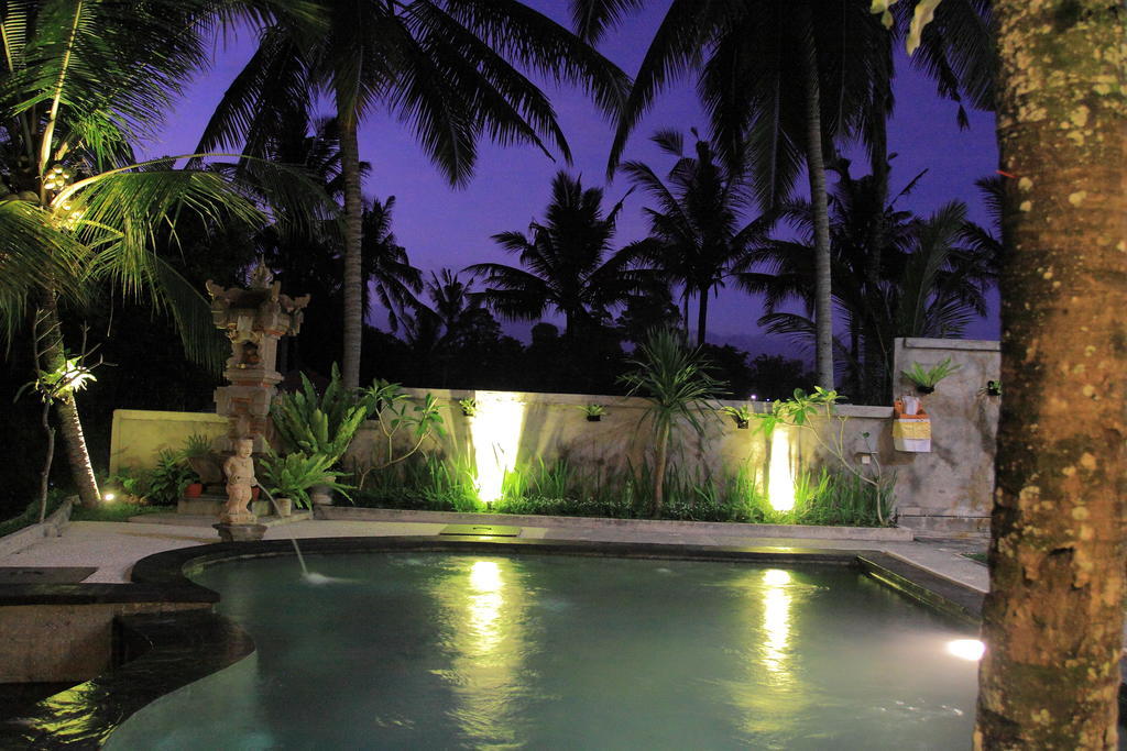 Hotel Dewa House Bisma Ubud Exteriér fotografie