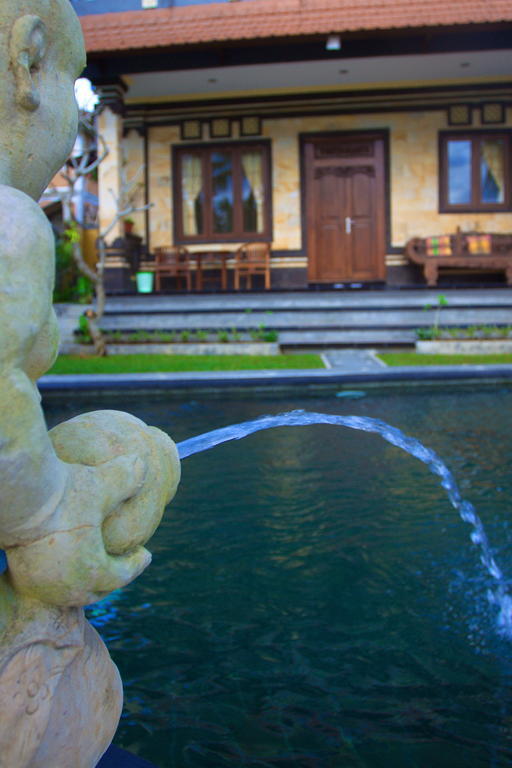 Hotel Dewa House Bisma Ubud Exteriér fotografie