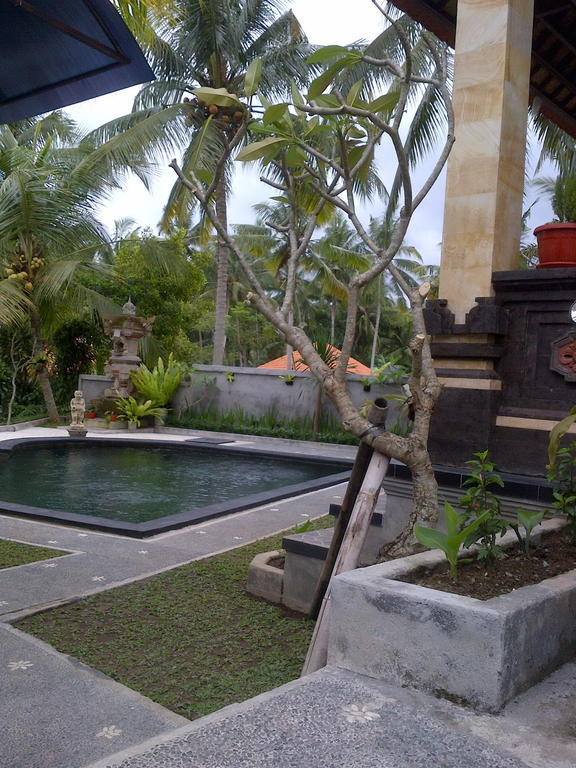 Hotel Dewa House Bisma Ubud Exteriér fotografie