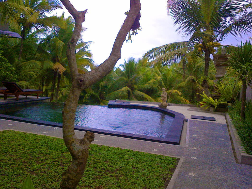 Hotel Dewa House Bisma Ubud Exteriér fotografie